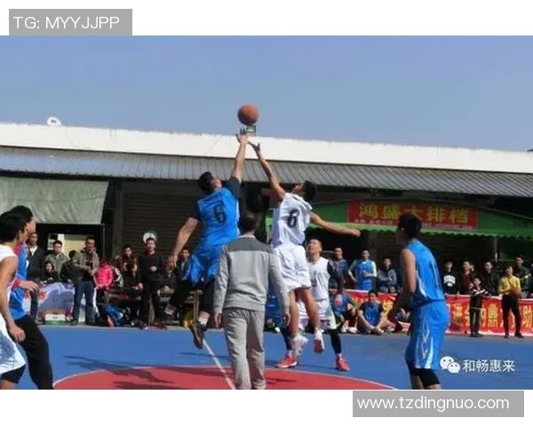 权威发布：排球状态实力榜单