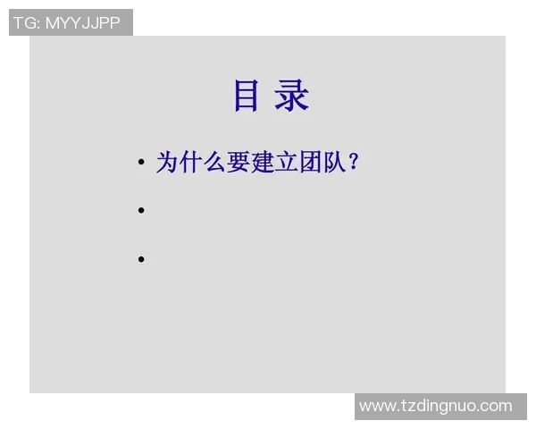 南京足球队意识探讨:提升团队凝聚力与战术执行力的关键因素分析 南京足球队意识探讨:提升团队凝聚力与战术执行力的关键因素分析