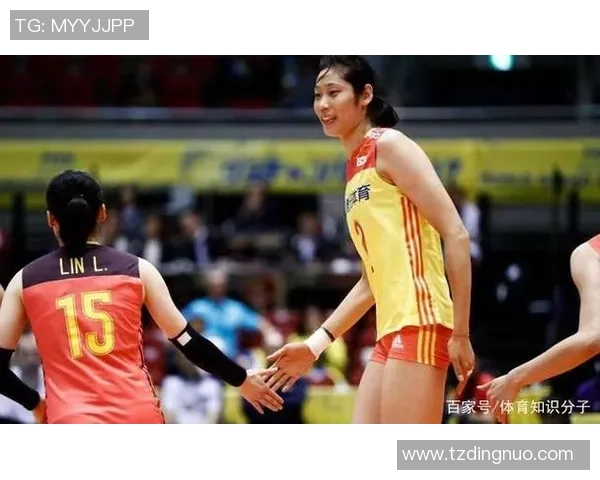 武汉排球队的崛起之路：城市联赛中的拼搏与梦想