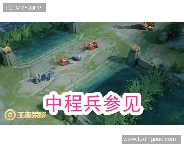 重庆羽毛球队的崛起之路：邀请赛中的奋斗与荣耀