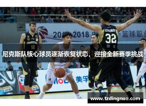 尼克斯队核心球员逐渐恢复状态，迎接全新赛季挑战