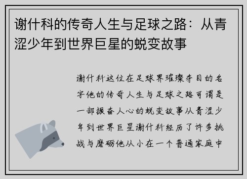 谢什科的传奇人生与足球之路：从青涩少年到世界巨星的蜕变故事