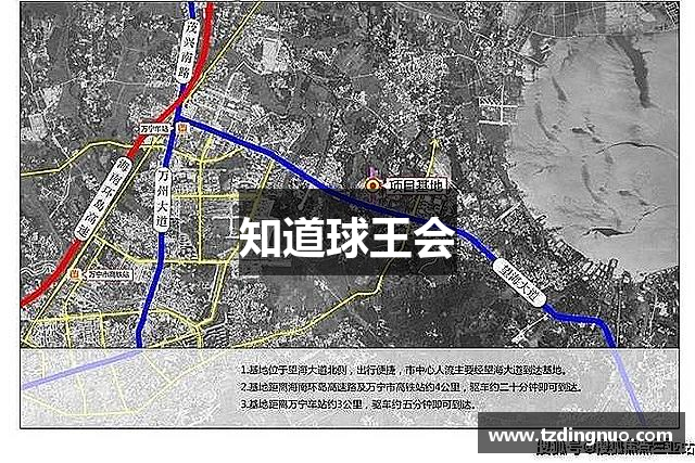 知道球王会
